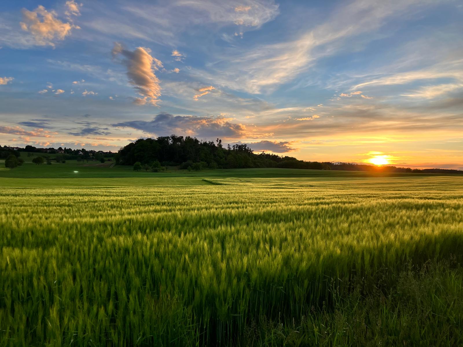 Ferienbauernhof Unkel – Sonnenuntergang