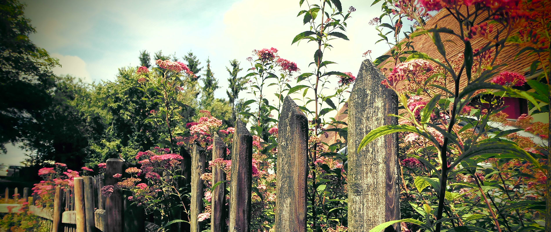 Ferienbauernhof Unkel – Natur